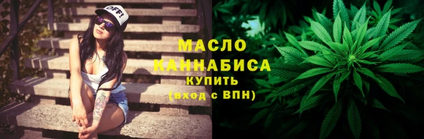 гидра Горнозаводск