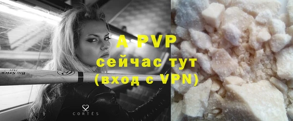 гидра Горнозаводск