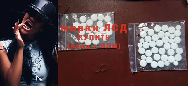 гидра Горнозаводск