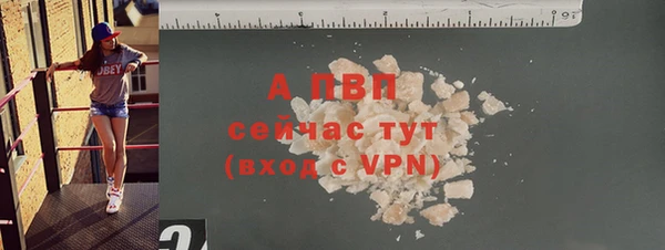 гидра Горнозаводск