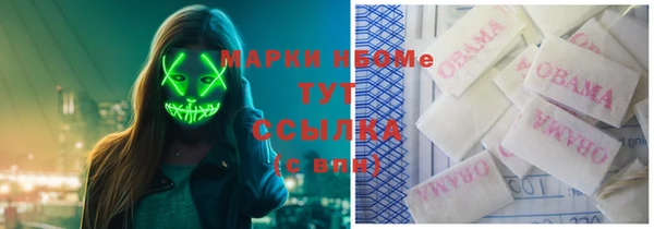 гидра Горнозаводск