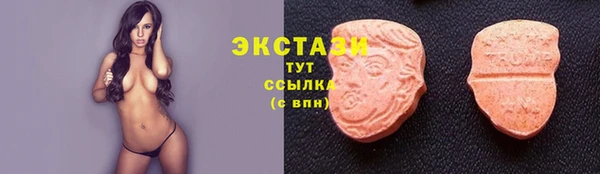 гидра Горнозаводск