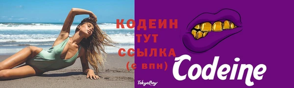 твердый Горняк