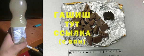 гидра Горнозаводск