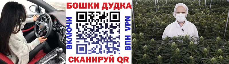 Конопля сатива  Златоуст 